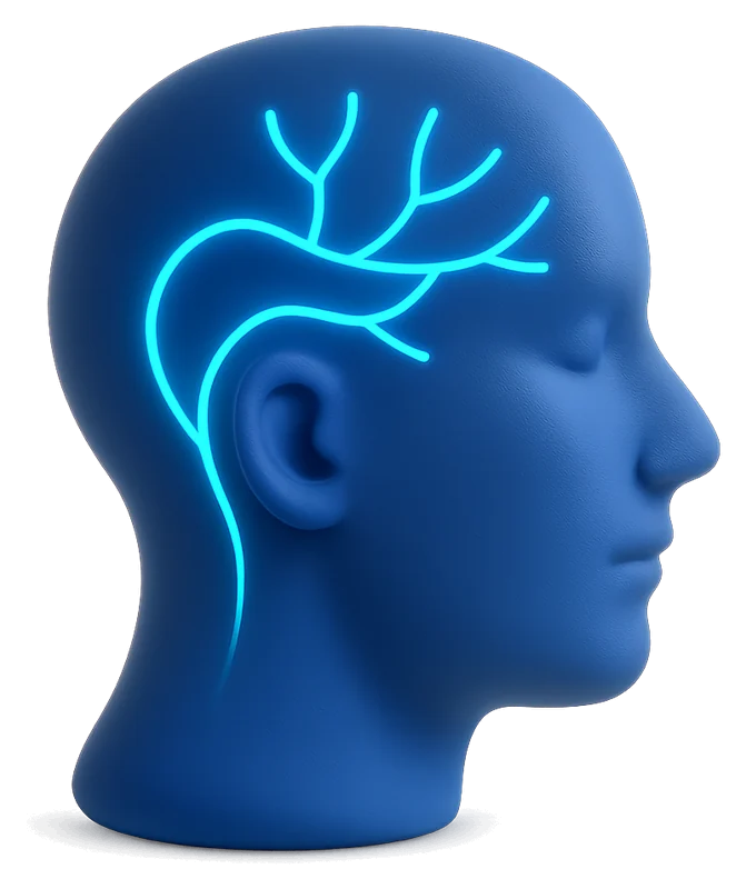 Perfil de uma cabeça com um sinal nervoso calmo a atravessá-la
